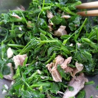 羊肉拌苜蓿的做法步骤：12