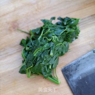 苜蓿炒蛋的做法步骤：3