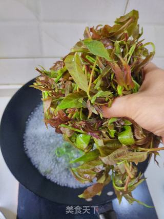 鸡蛋爱上香椿芽的做法步骤：2