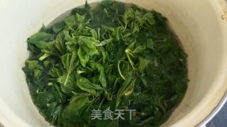 凉拌刺五加的做法步骤：4