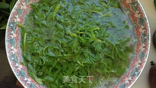 凉拌刺五加的做法步骤：5