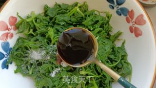 凉拌刺五加的做法步骤：11