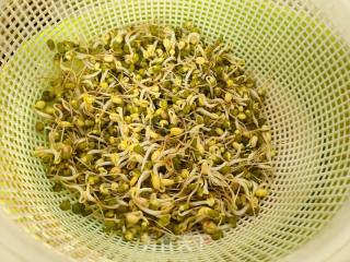 莴笋炒绿豆芽的做法步骤：3