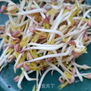 绿豆芽炖鲫鱼的做法步骤：11