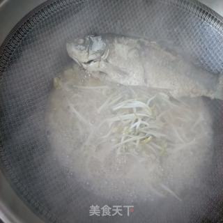 绿豆芽炖鲫鱼的做法步骤：13