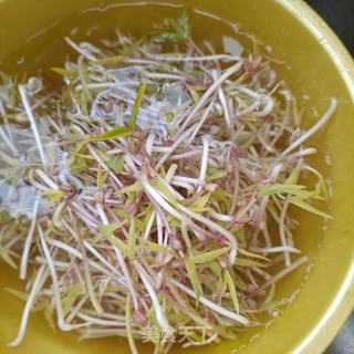 韭菜鸡蛋炒豆芽的做法步骤：3