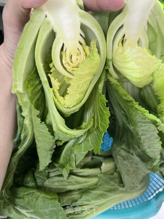 腌酸菜的做法步骤：4