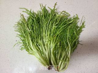 蒸苦菊的做法步骤：1