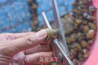 香辣田螺的做法步骤：3