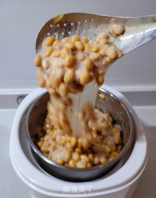 自制纳豆的做法步骤：7
