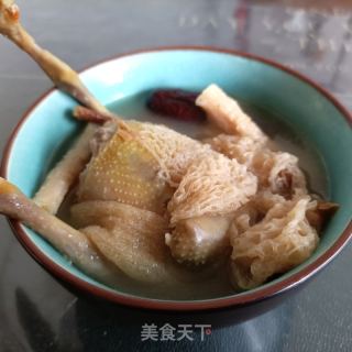 沙参五指毛桃鸽子汤的做法步骤：11
