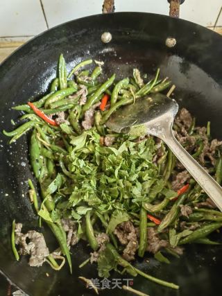 二荆条炒牛肉的做法步骤：16