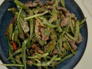 二荆条炒牛肉的做法步骤：18