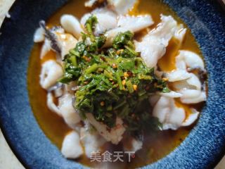 香菜乌鱼片的做法步骤：9