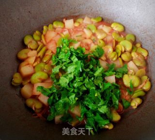 素熬鲜蚕豆的做法步骤：9