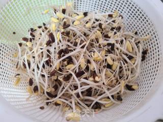 包菜炒黑豆芽的做法步骤：4