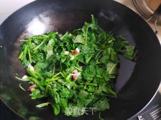 油渣炒苋菜的做法步骤：4