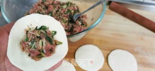 苦菜肉包子的做法步骤：11