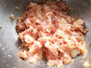 葱香肉饼的做法步骤：2