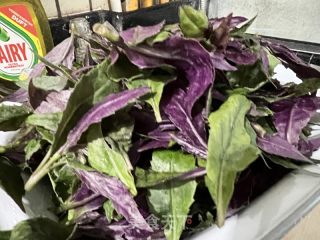 清炒紫贝菜的做法步骤：1