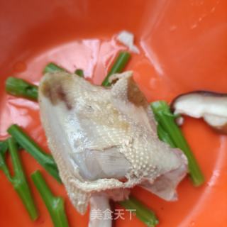 香菇菜芯拌鸽胸肉的做法步骤：6