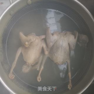 黄芪鸽子汤的做法步骤：6