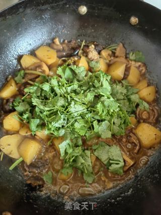香菜土豆烧牛肉的做法步骤：13