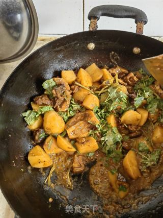 香菜土豆烧牛肉的做法步骤：14