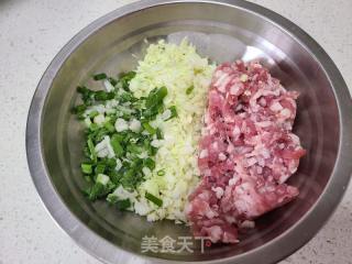 猪肉包菜馅饺子的做法步骤：2