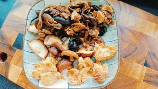小鸡炖蘑菇的做法步骤：10
