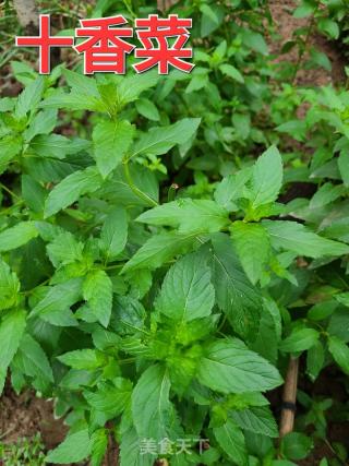 黄瓜凉拌十香菜的做法步骤：1