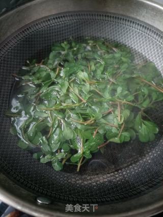香覃鸽肉拌马齿苋的做法步骤：6