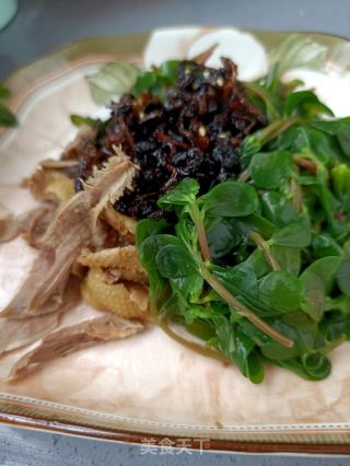 香覃鸽肉拌马齿苋的做法步骤：8