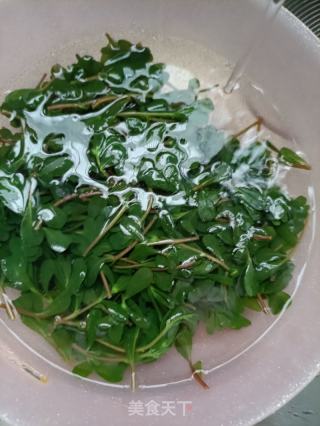 豆腐拌马齿苋的做法步骤：3