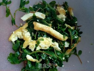 豆腐拌马齿苋的做法步骤：17
