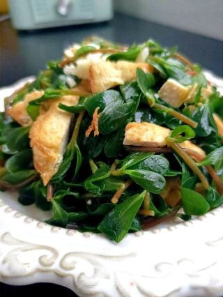 豆腐拌马齿苋的做法步骤：18