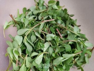 马齿苋炒白虾的做法步骤：1