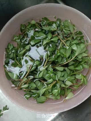 马齿苋炒白虾的做法步骤：2