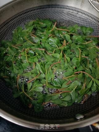 马齿苋炒白虾的做法步骤：4