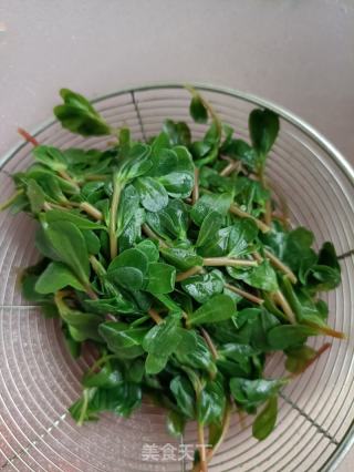 马齿苋炒白虾的做法步骤：5