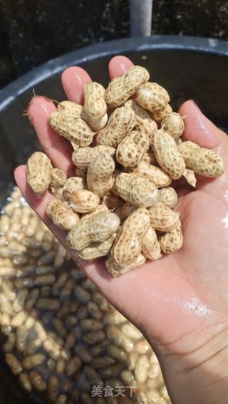 水煮花生的做法步骤：2