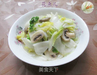 蘑菇炒黄心菜的做法