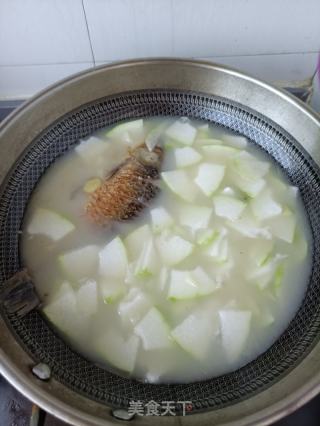 鲫鱼冬瓜汤的做法步骤：16