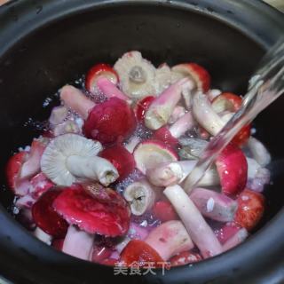 鲜红菇炖鸡的做法步骤：5