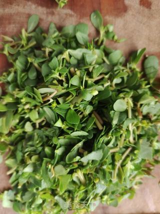 马齿菜（马齿苋）鸡蛋饼的做法步骤：3