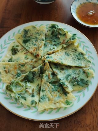 马齿菜（马齿苋）鸡蛋饼的做法步骤：17