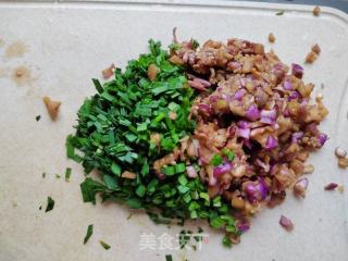 韭菜茄子肉馅水饺的做法步骤：2