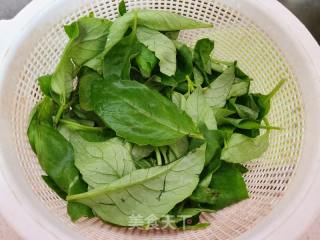 明月草炒绿豆芽的做法步骤：1