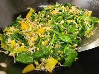 明月草炒绿豆芽的做法步骤：4