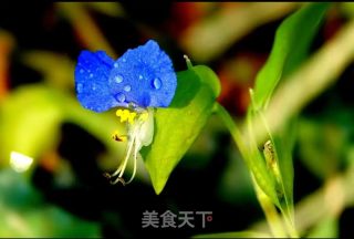 猪心拌翠蝴蝶的做法步骤：1